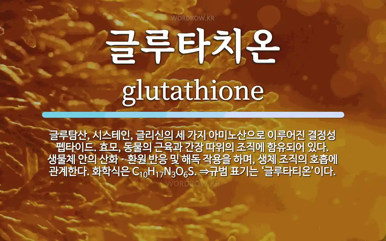 glutathione 뜻 글루타치온 뜻: 글루탐산, 시스테인, 글리신의 세 가지 아미노산으로 이루어진 결정성 펩타이드. 효모, 동물