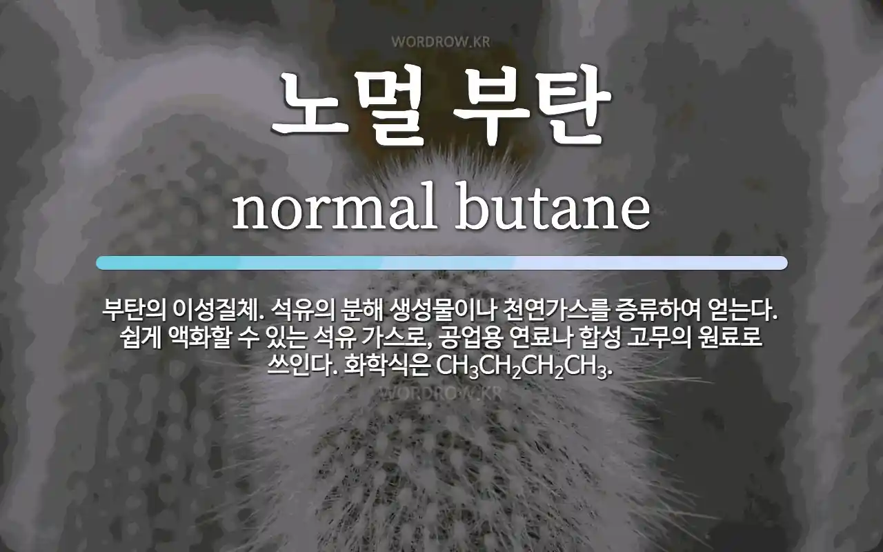 노멀 부탄 뜻: 부탄의 이성질체. 석유의 분해 생성물이나 천연가스를 증류하여 얻는다. 쉽게 액화할 수 있는