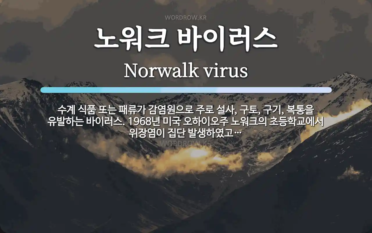 노워크 바이러스 뜻: 수계 식품 또는 패류가 감염원으로 주로 설사, 구토, 구기, 복통을 유발하는 바이러스. 1