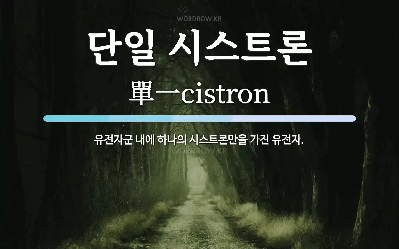 단일 시스트론 뜻: 유전자군 내에 하나의 시스트론만을 가진 유전자.