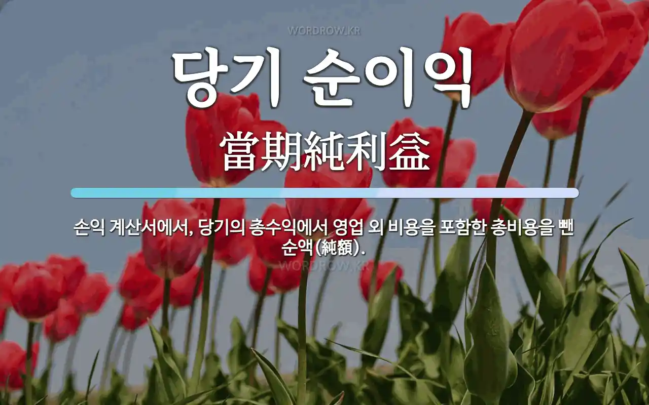 당기 순이익 뜻: 손익 계산서에서, 당기의 총수익에서 영업 외 비용을 포함한 총비용을 뺀 순액(純額).