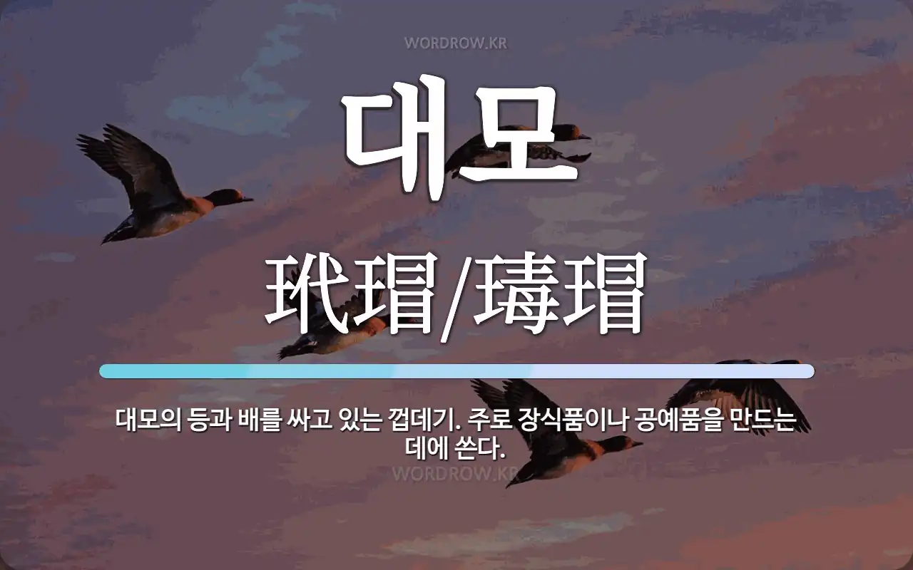 대모(317850) 관련 이미지 7