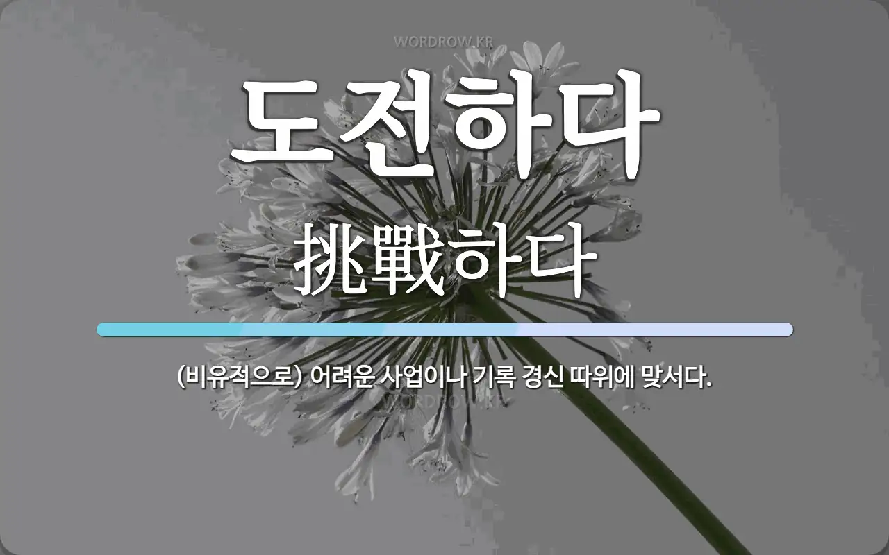 도전하다 뜻: (비유적으로) 어려운 사업이나 기록 경신 따위에 맞서다.