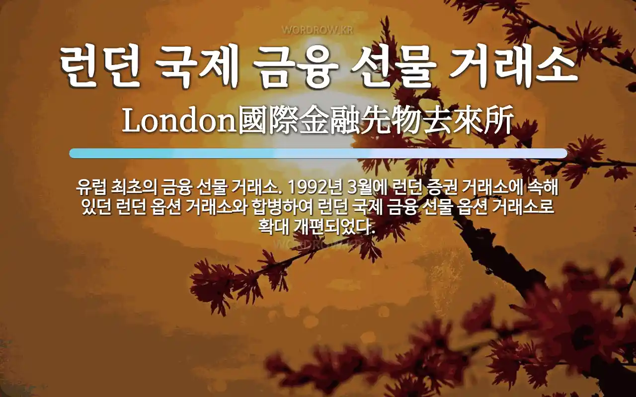 런던 국제 금융 선물 거래소 뜻: 유럽 최초의 금융 선물 거래소. 1992년 3월에 런던 증권 거래소에 속해 있던 런던 옵션