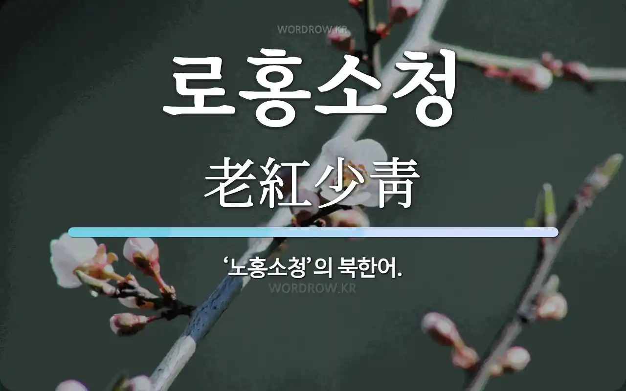 로홍소청 뜻: ‘노홍소청’의 북한어.