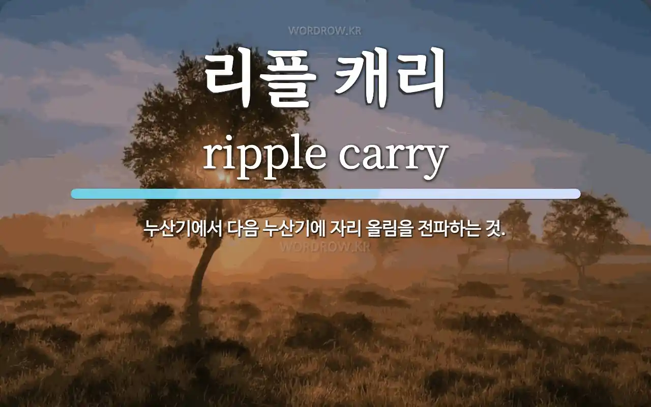 리플 캐리 뜻: 누산기에서 다음 누산기에 자리 올림을 전파하는 것.