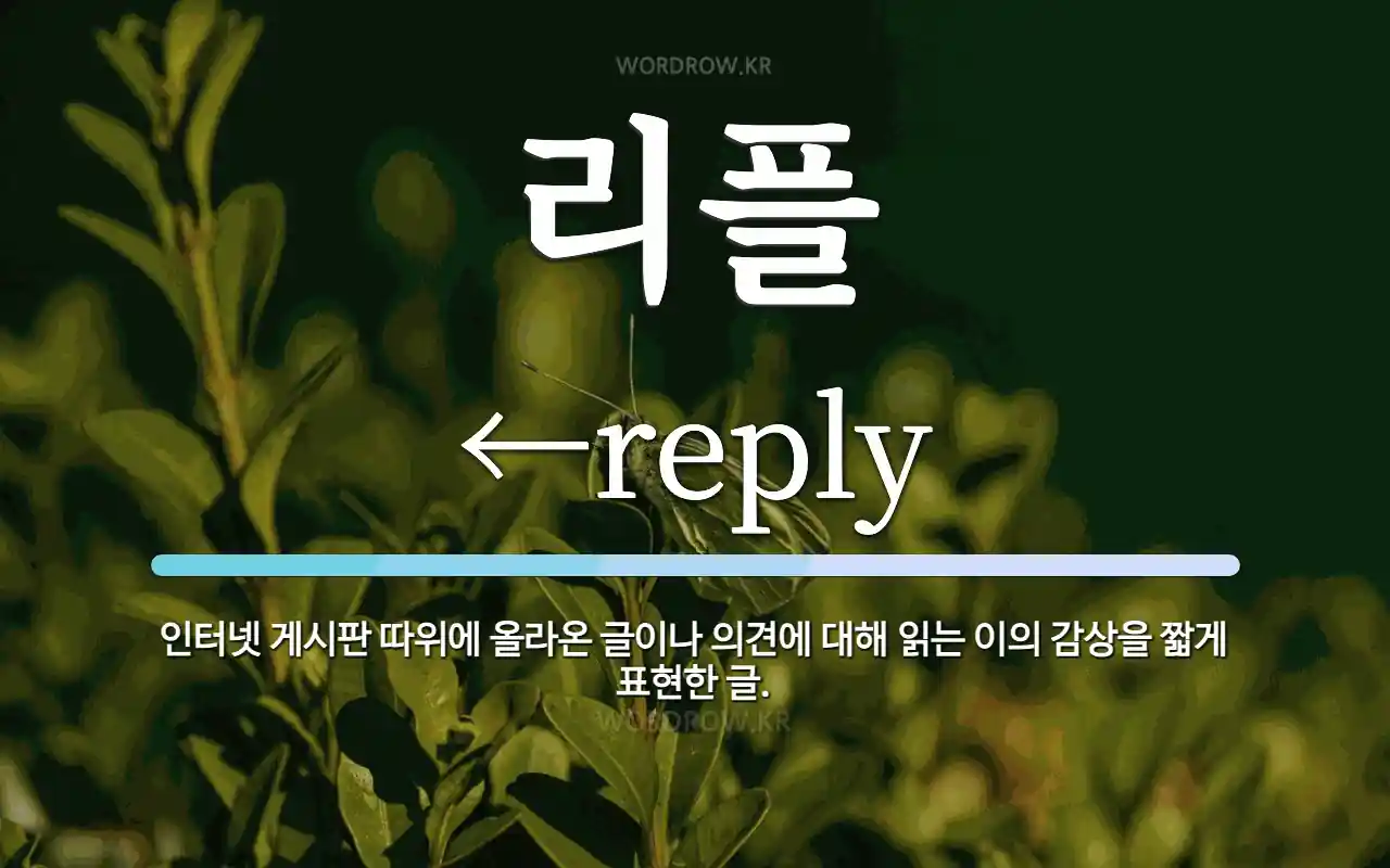 리플 뜻: 인터넷 게시판 따위에 올라온 글이나 의견에 대해 읽는 이의 감상을 짧게 표현한 글.