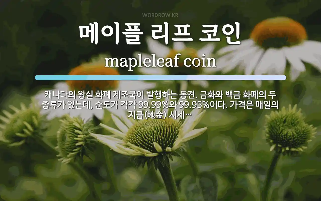 메이플 리프 코인 뜻: 캐나다의 왕실 화폐 제조국이 발행하는 동전. 금화와 백금 화폐의 두 종류가 있는데, 순도가