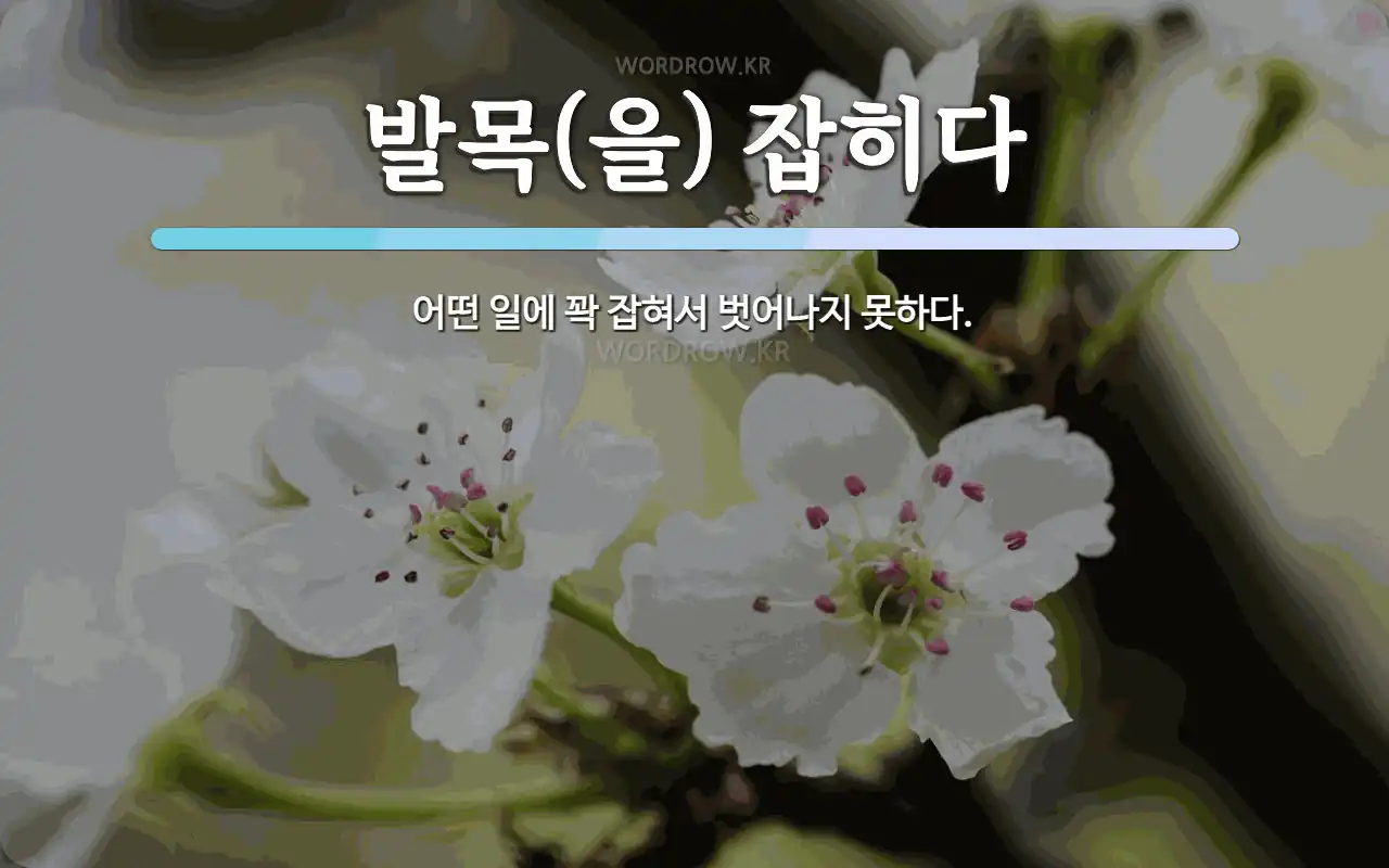 TOPIK 쓰기 고득점 전략 - 한국어 관용표현 학습 가이드