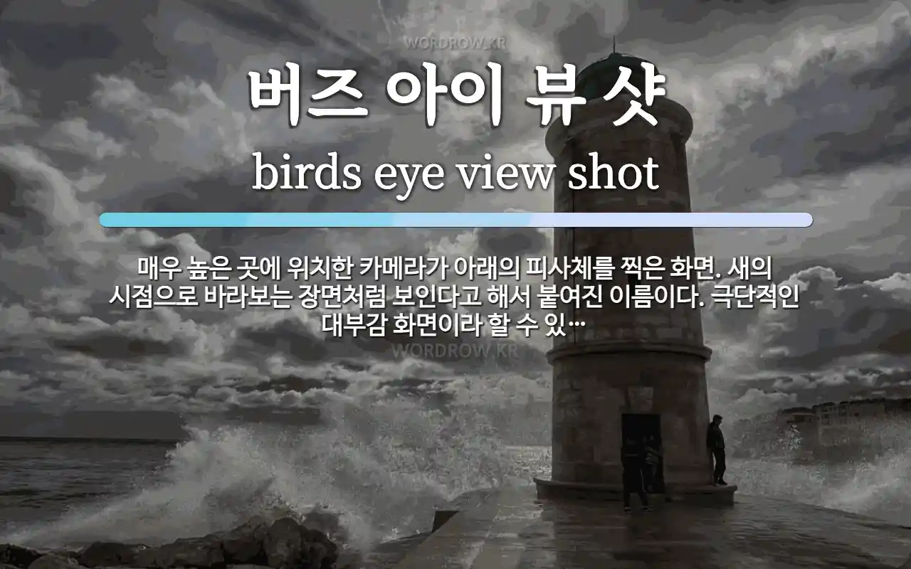 버즈 아이 뷰 샷 뜻: 매우 높은 곳에 위치한 카메라가 아래의 피사체를 찍은 화면. 새의 시점으로 바라보는 장면처