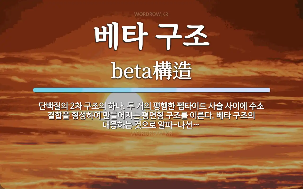 베타 구조 뜻: 단백질의 2차 구조의 하나. 두 개의 평행한 펩타이드 사슬 사이에 수소 결합을 형성하여 만
