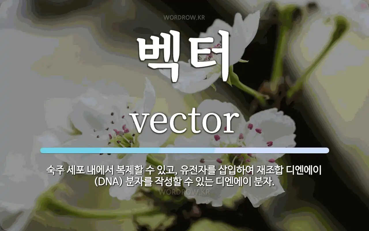 벡터 뜻: 숙주 세포 내에서 복제할 수 있고, 유전자를 삽입하여 재조합 디엔에이(DNA) 분자를 작성