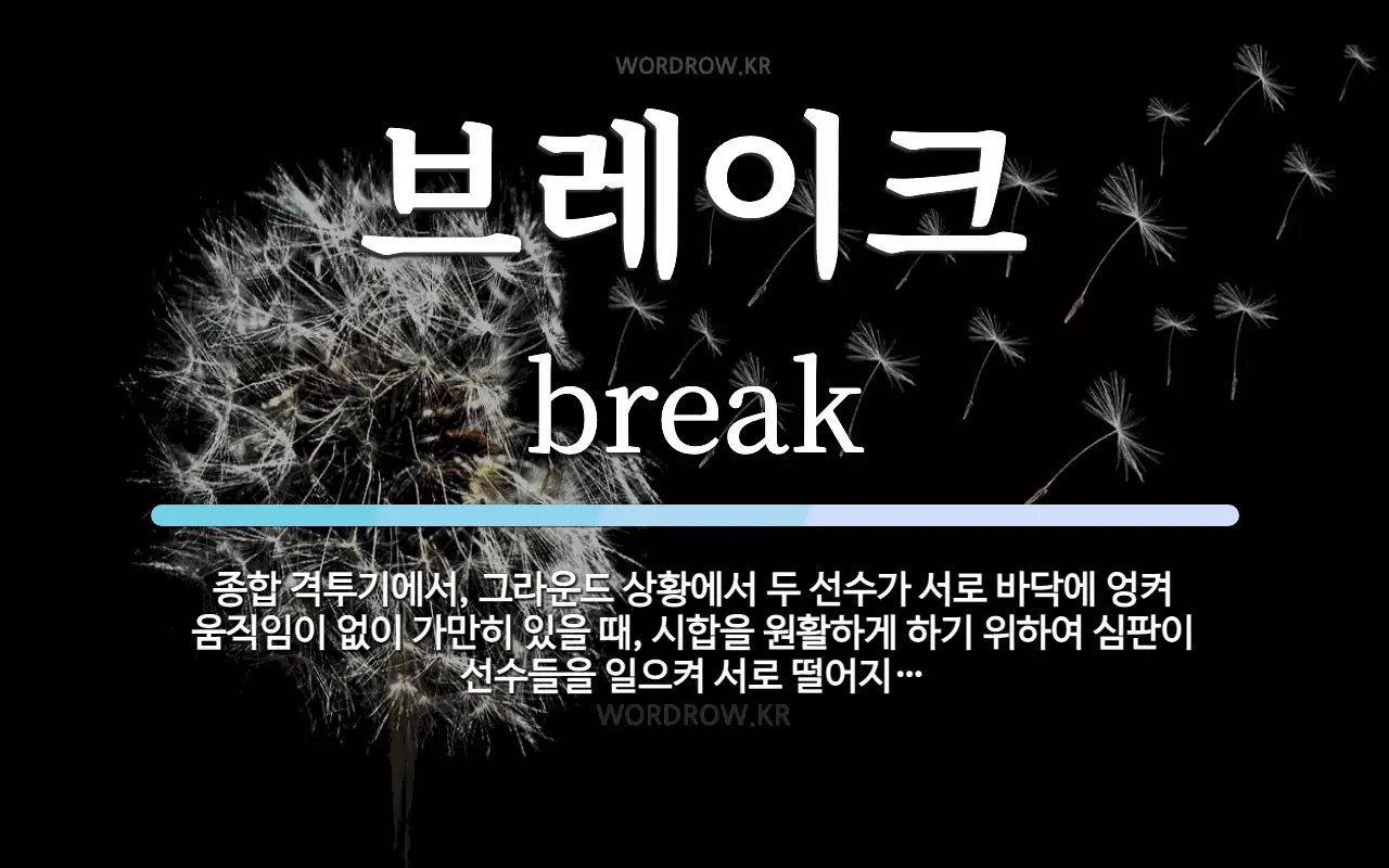 브레이크 뜻: 종합 격투기에서, 그라운드 상황에서 두 선수가 서로 바닥에 엉켜 움직임이 없이 가만히 있을