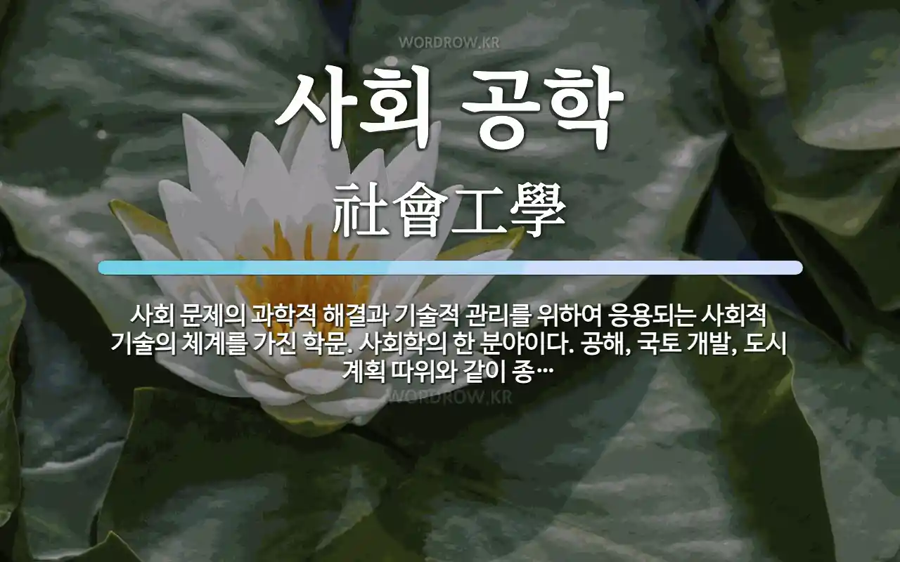 사회 공학 뜻: 사회 문제의 과학적 해결과 기술적 관리를 위하여 응용되는 사회적 기술의 체계를 가진 학문.