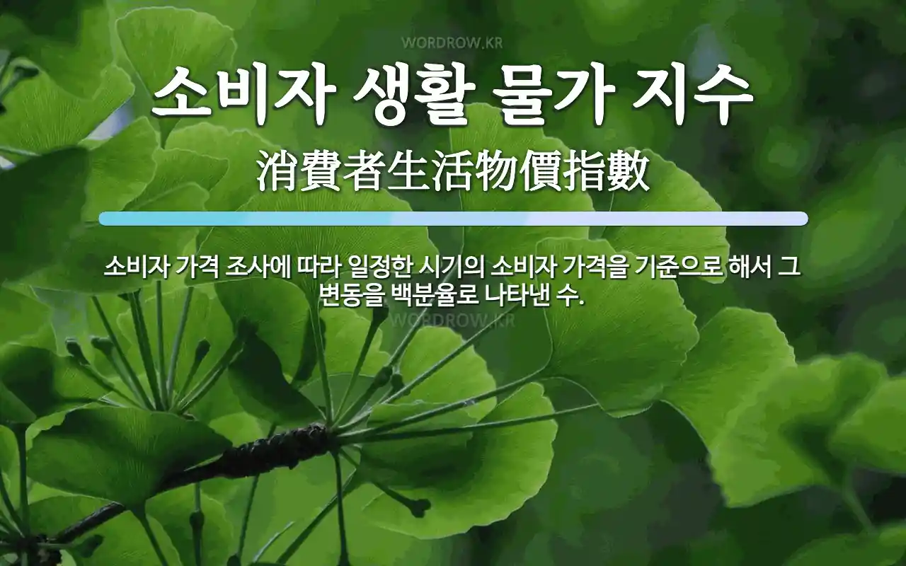 소비자 생활 물가 지수 뜻: 소비자 가격 조사에 따라 일정한 시기의 소비자 가격을 기준으로 해서 그 변동을 백분율로 나