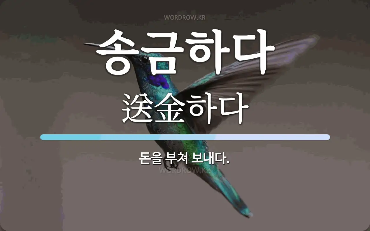 송금과 환전 개념 이미지