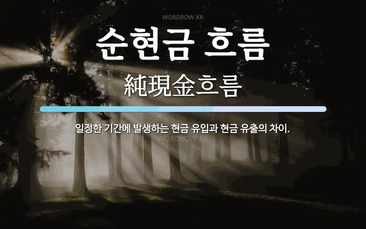 순현금 흐름 뜻: 일정한 기간에 발생하는 현금 유입과 현금 유출의 차이.