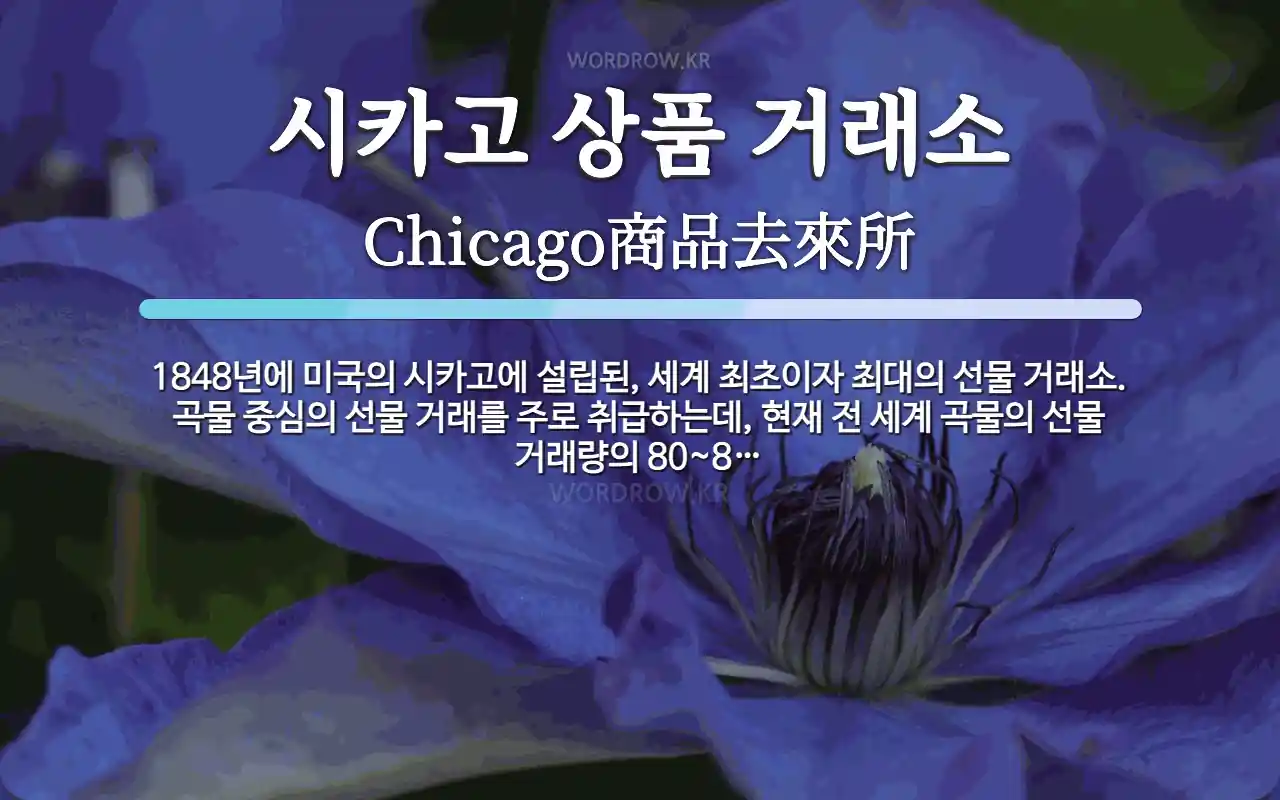 시카고 상품 거래소 뜻: 1848년에 미국의 시카고에 설립된, 세계 최초이자 최대의 선물 거래소. 곡물 중심의 선물