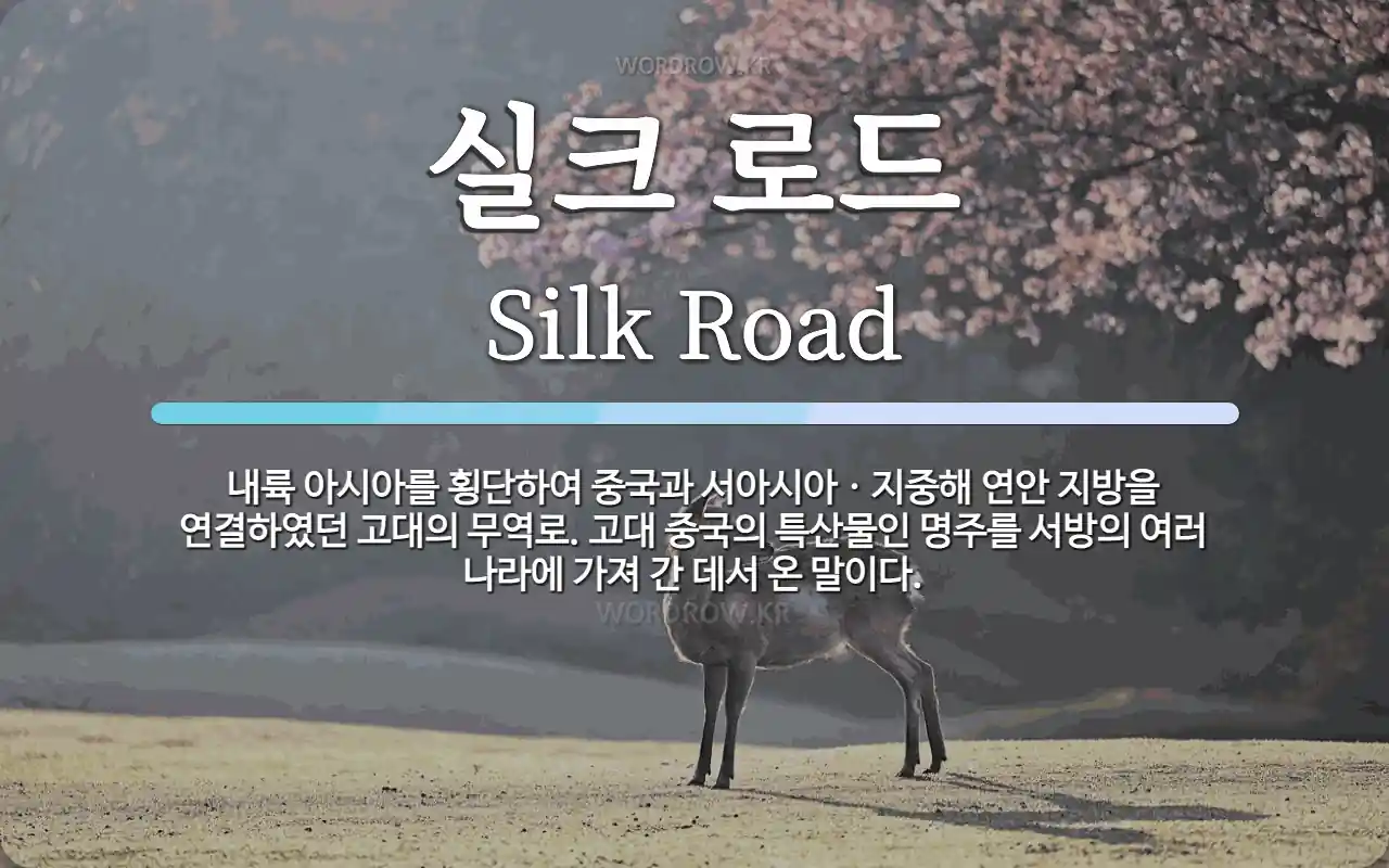 실크 로드 뜻: 내륙 아시아를 횡단하여 중국과 서아시아ㆍ지중해 연안 지방을 연결하였던 고대의 무역로. 고대