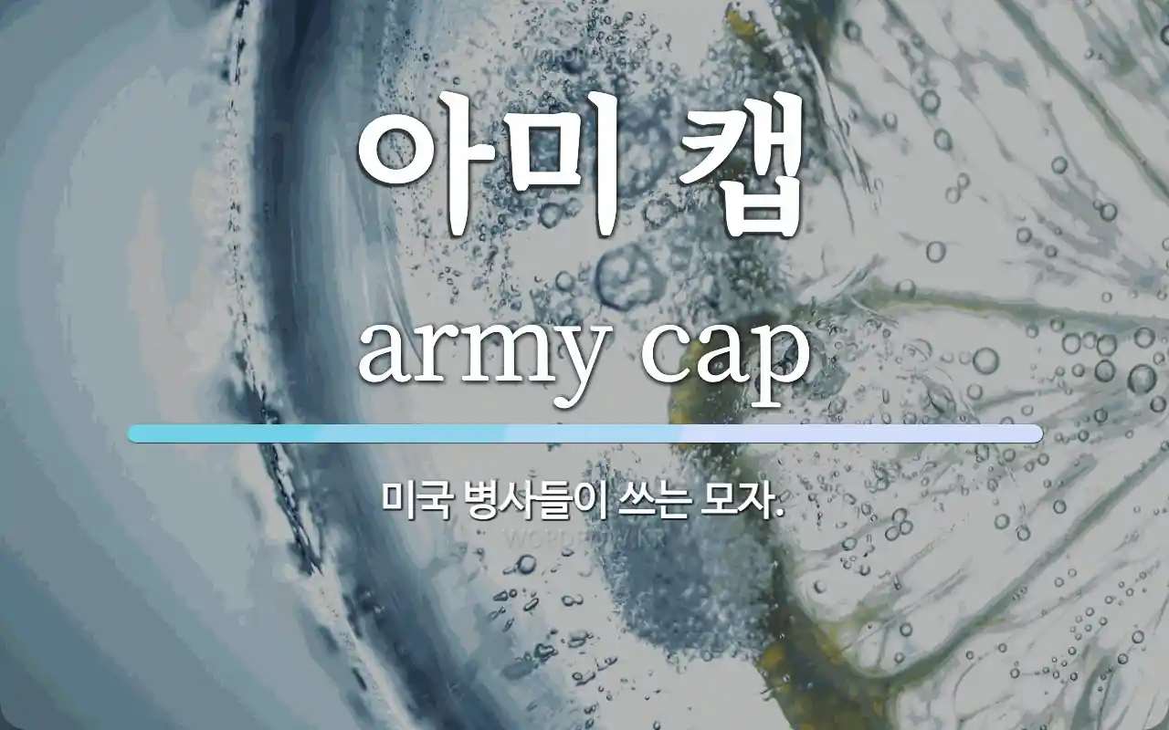 아미 캡 뜻: 미국 병사들이 쓰는 모자. 아미 캡 뜻: 미국 병사들이 쓰는 모자. 