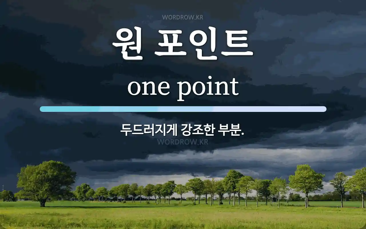 원 포인트 뜻: 두드러지게 강조한 부분.