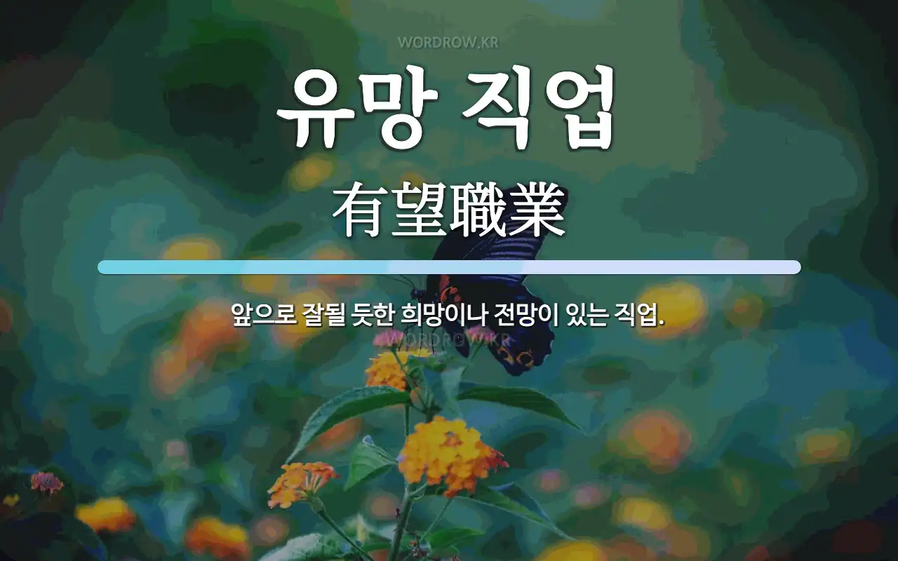 유망 직업 뜻: 앞으로 잘될 듯한 희망이나 전망이 있는 직업.