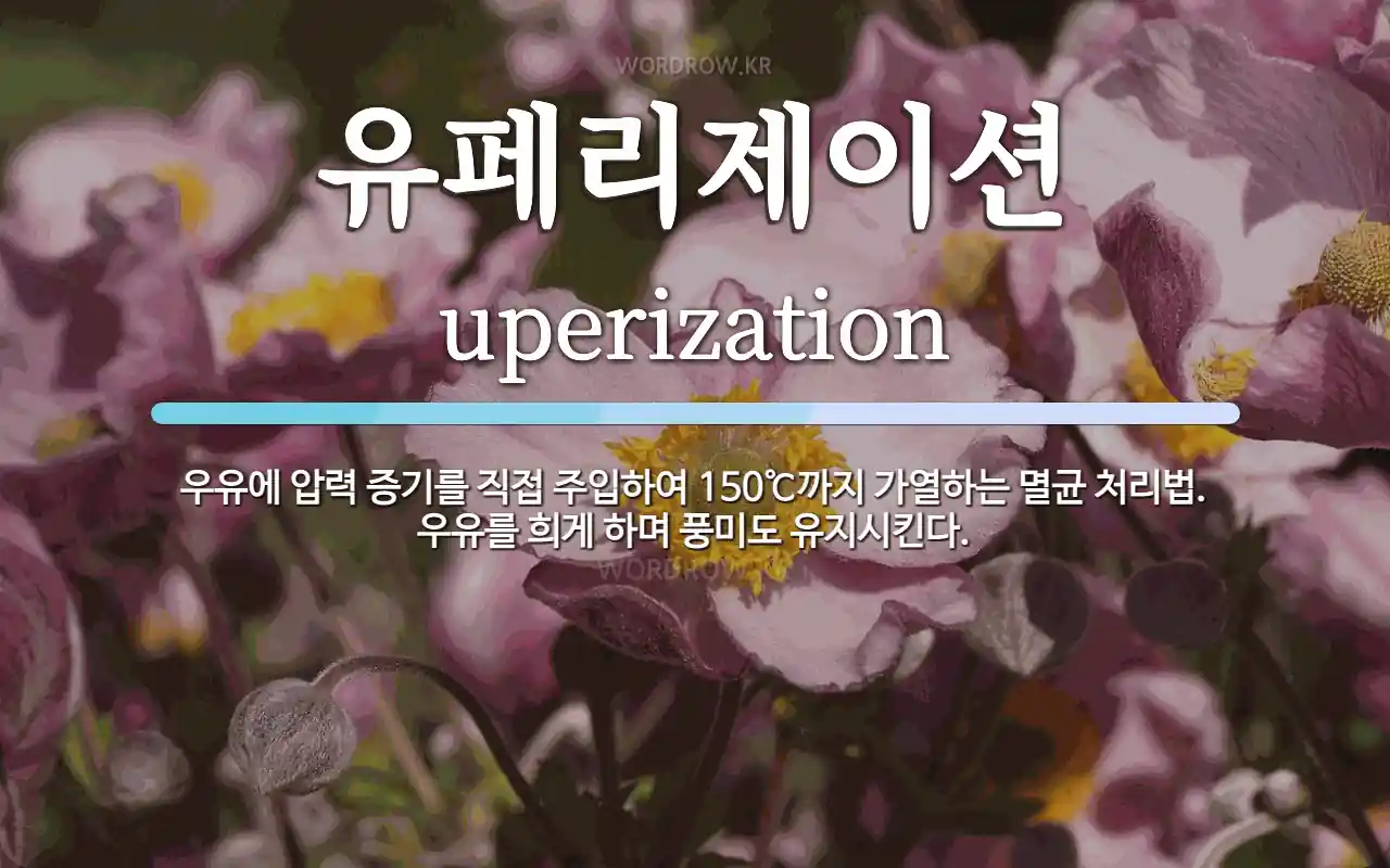 Uperization 유페리제이션 뜻: 우유에 압력 증기를 직접 주입하여 150℃까지 가열하는 멸균 처리법. 우유를 희게 하며 풍