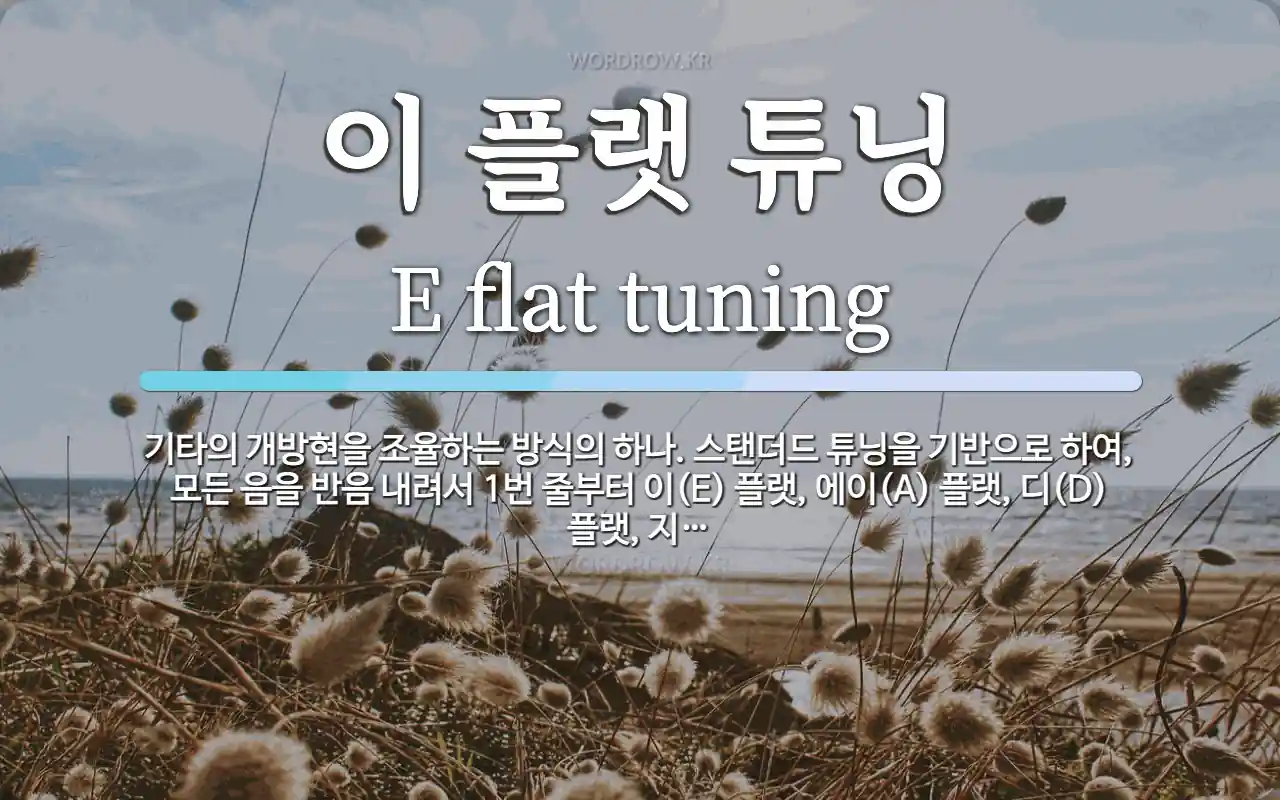 이 플랫 튜닝 뜻: 기타의 개방현을 조율하는 방식의 하나. 스탠더드 튜닝을 기반으로 하여, 모든 음을 반음 내
