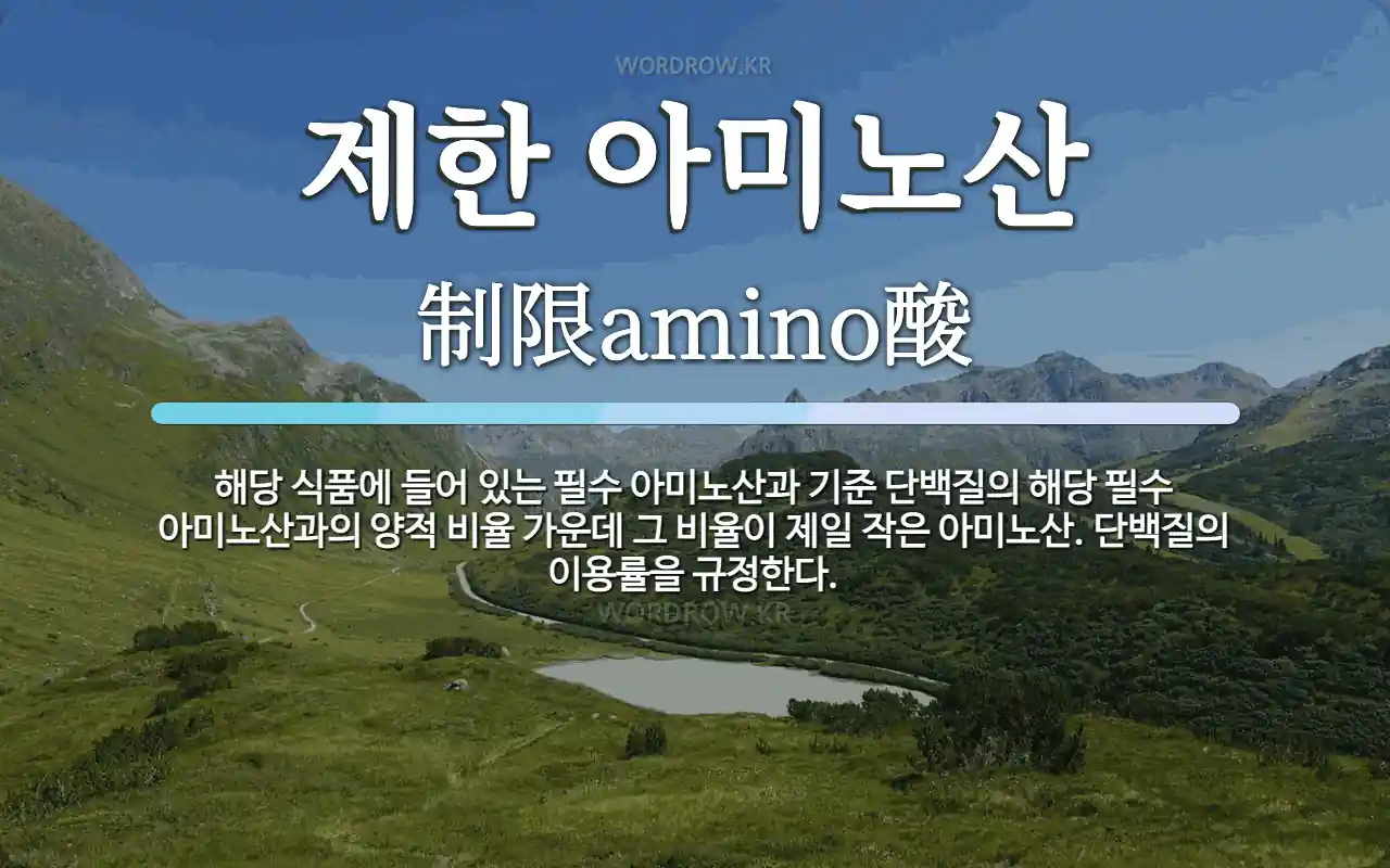 [연구번역] 암세포의 성장과 생존을 위한 필수아미노산인 글루타민의 활용과 의존성