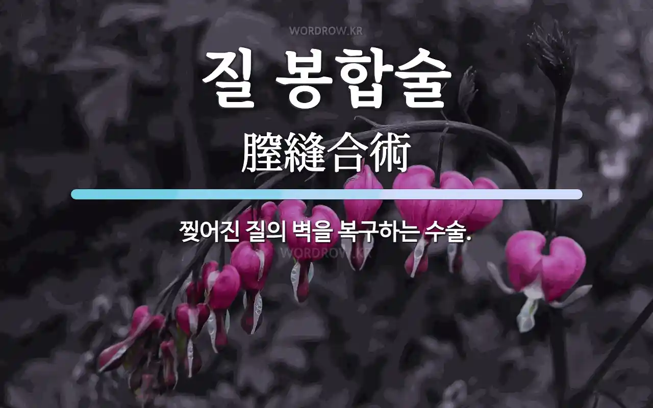 질 봉합술 뜻