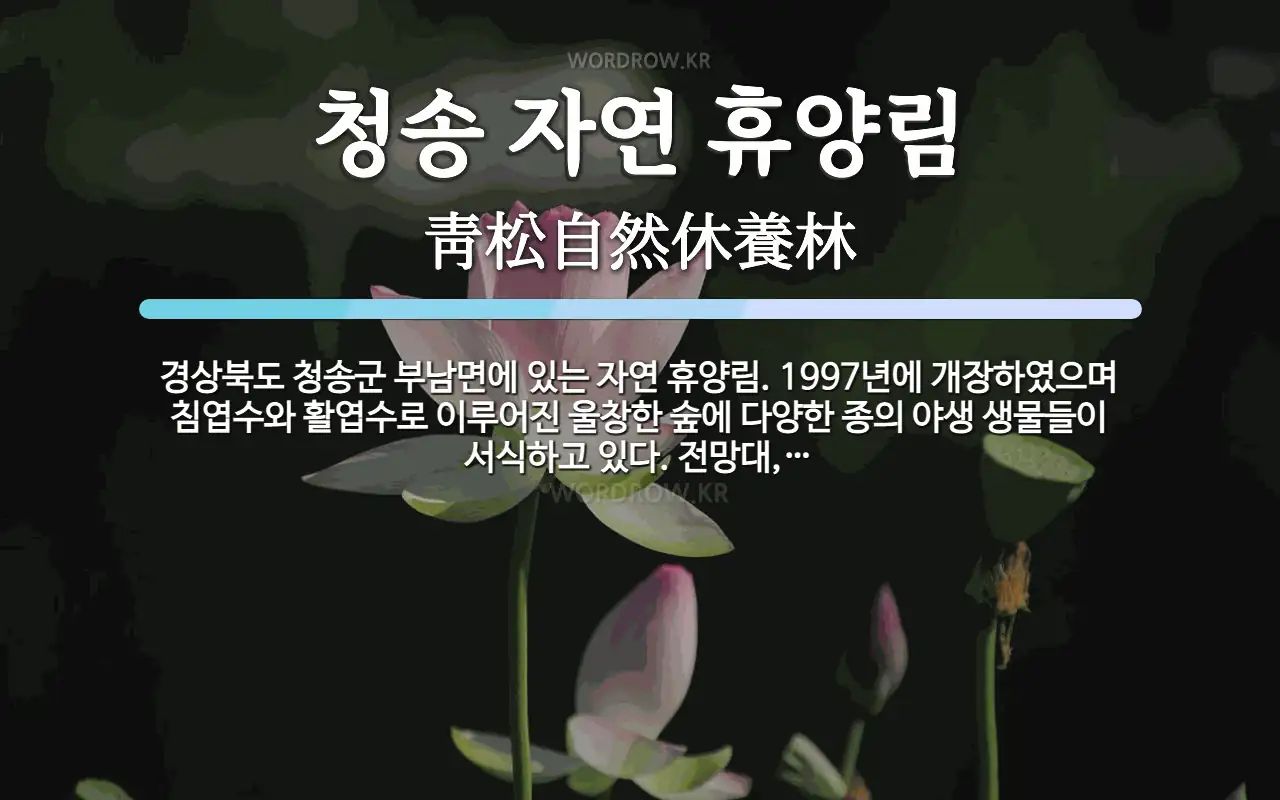 청송자연휴양림야영장