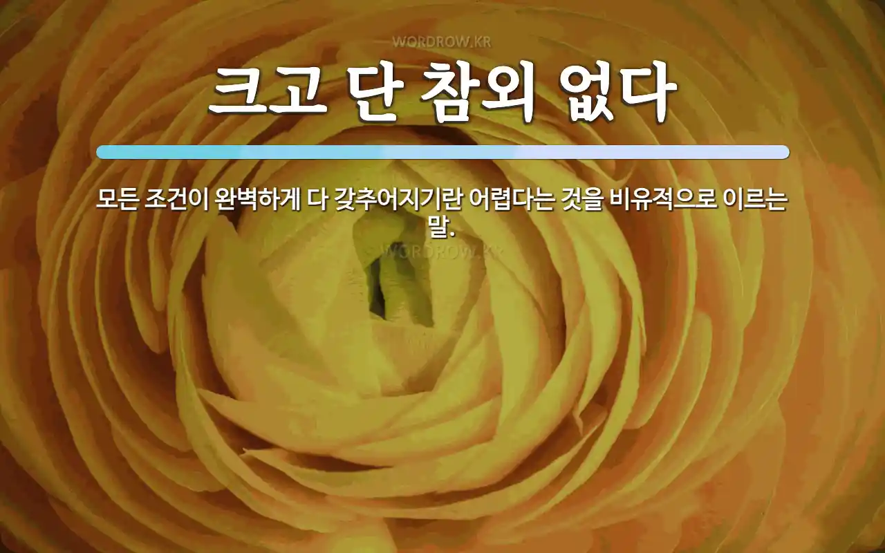 참외 고르는 법 완벽 가이드로 여름 참외 제대로 즐기기