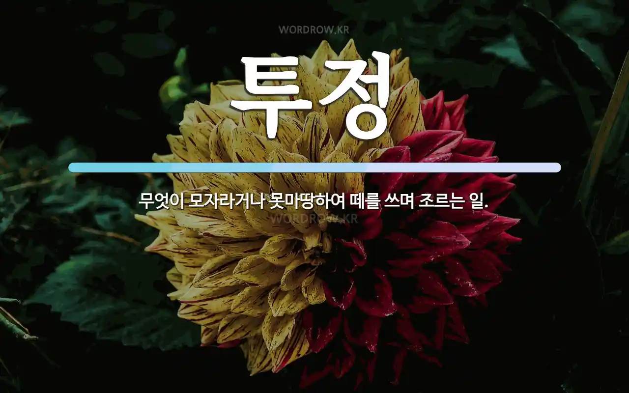 투정 뜻: 무엇이 모자라거나 못마땅하여 떼를 쓰며 조르는 일.