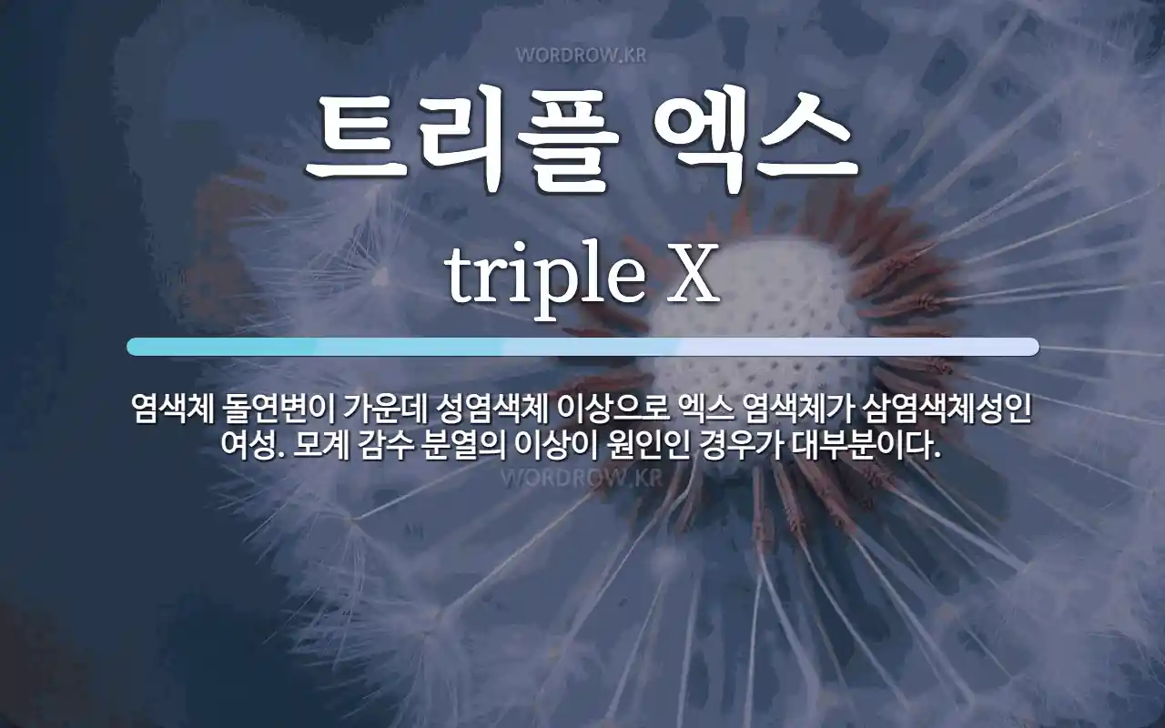 트리플 엑스 뜻: 염색체 돌연변이 가운데 성염색체 이상으로 엑스 염색체가 삼염색체성인 여성. 모계 감수 분열