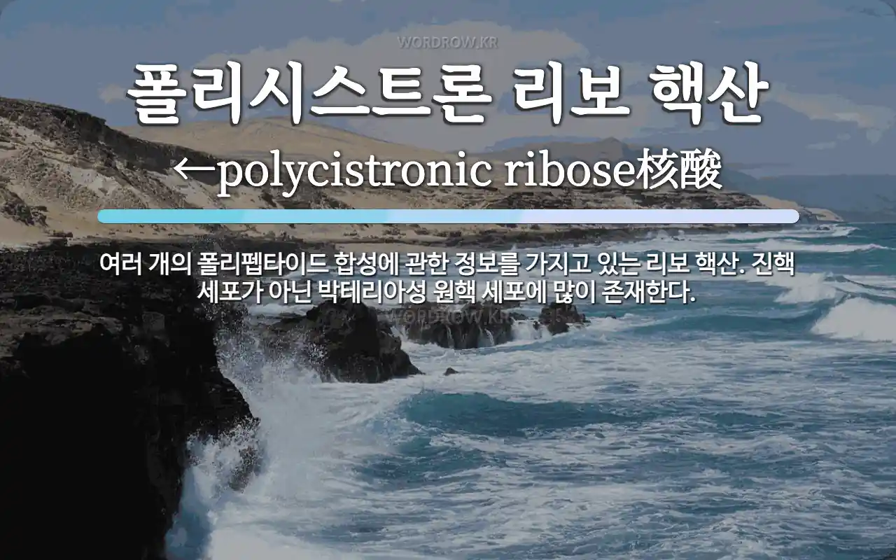 폴리시스트론 리보 핵산 뜻: 여러 개의 폴리펩타이드 합성에 관한 정보를 가지고 있는 리보 핵산. 진핵 세포가 아닌 박테