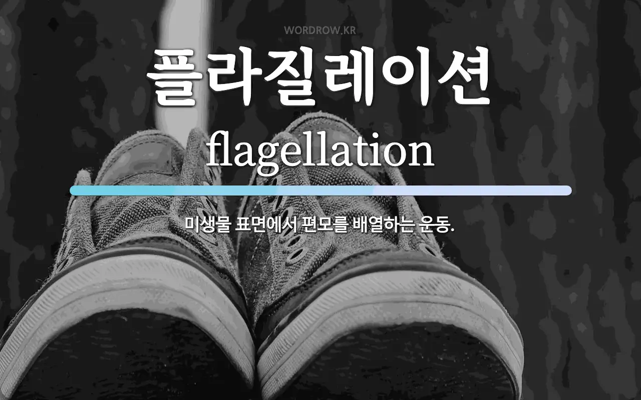 플라질레이션 뜻: 미생물 표면에서 편모를 배열하는 운동.