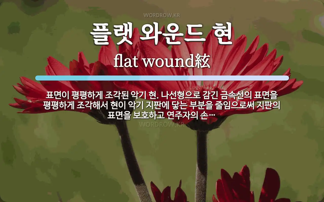 플랫 와운드 현 뜻: 표면이 평평하게 조각된 악기 현. 나선형으로 감긴 금속선의 표면을 평평하게 조각해서 현이