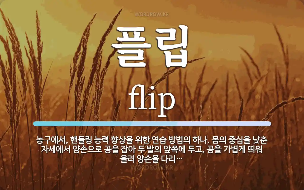 플립 뜻: 농구에서, 핸들링 능력 향상을 위한 연습 방법의 하나. 몸의 중심을 낮춘 자세에서 양손으로