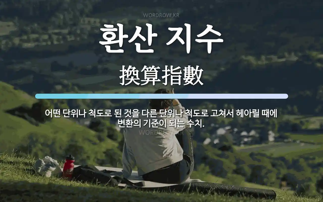 환산 지수 뜻: 어떤 단위나 척도로 된 것을 다른 단위나 척도로 고쳐서 헤아릴 때에 변환의 기준이 되는 수