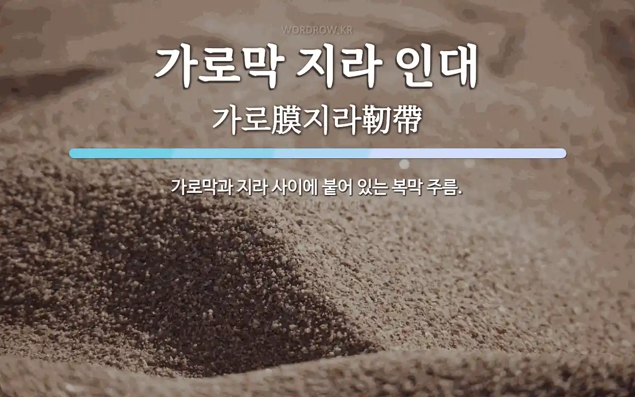 가로막 지라 인대 뜻