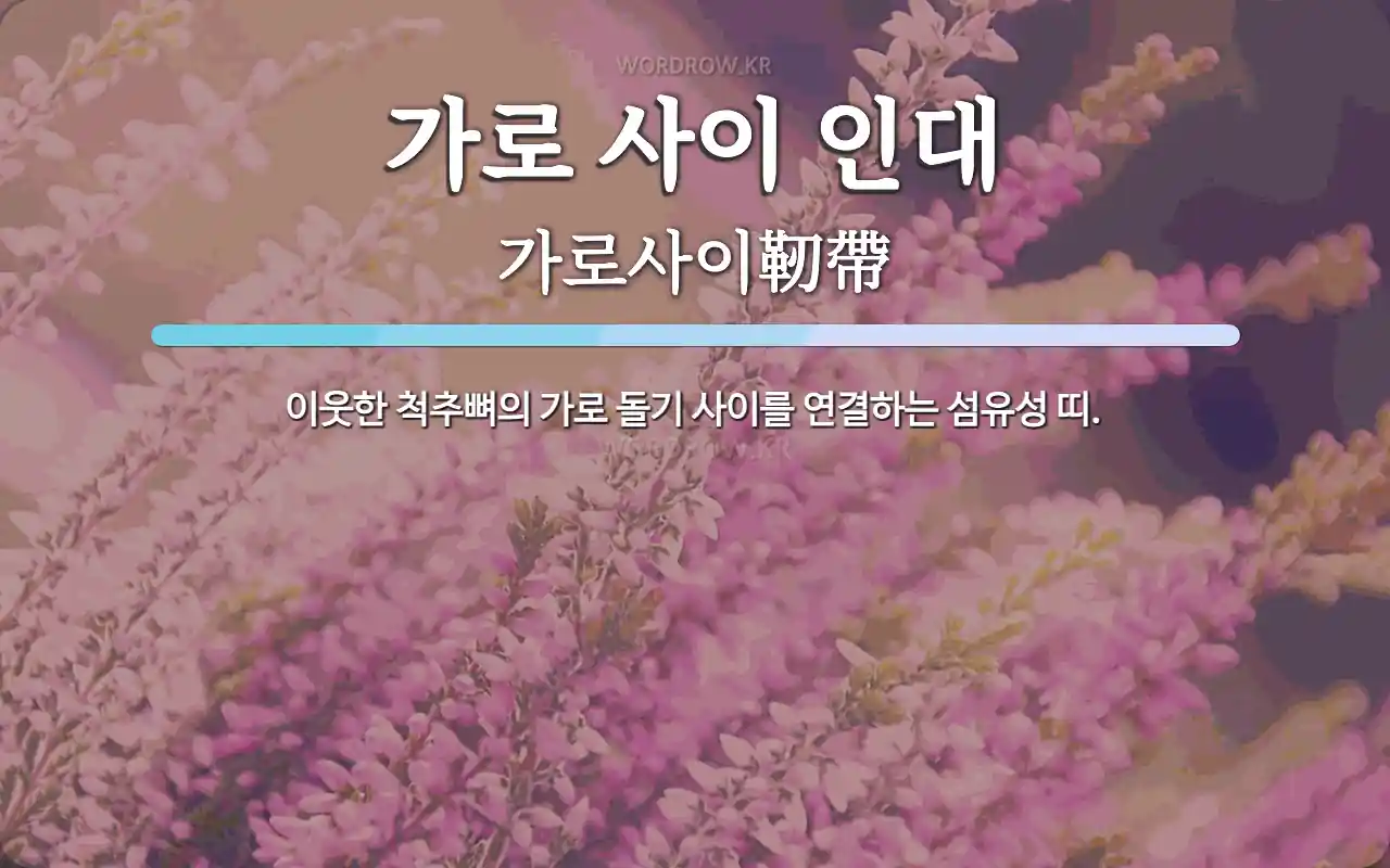 가로 사이 인대 뜻