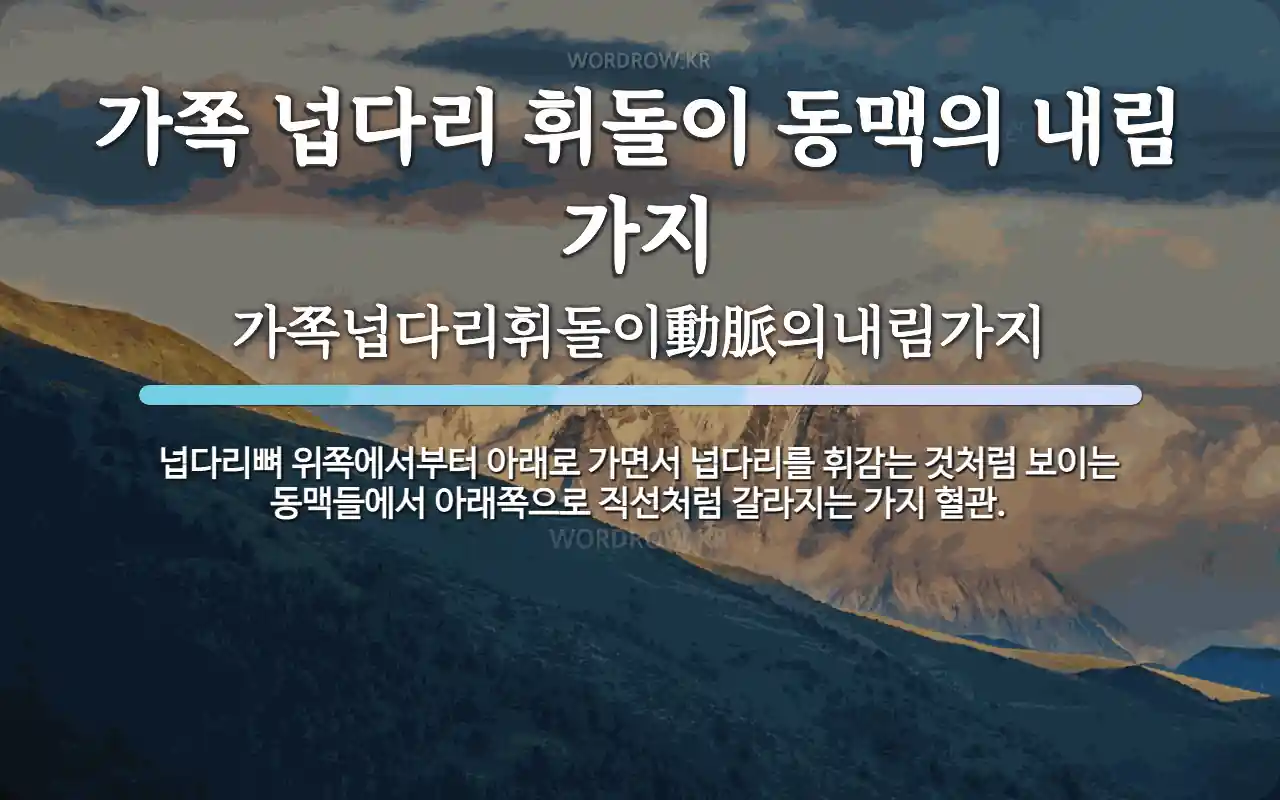 가쪽 넙다리 휘돌이 동맥의 내림 가지 뜻