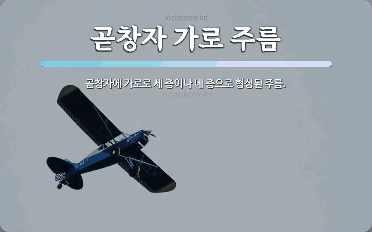 곧창자 가로 주름 뜻