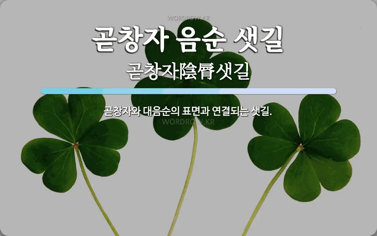 곧창자 음순 샛길 뜻