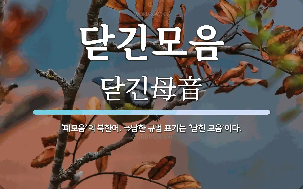 닫긴모음 뜻