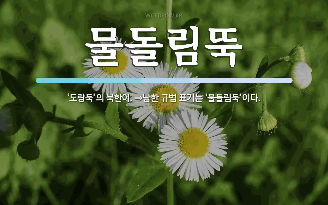 물돌림뚝 뜻