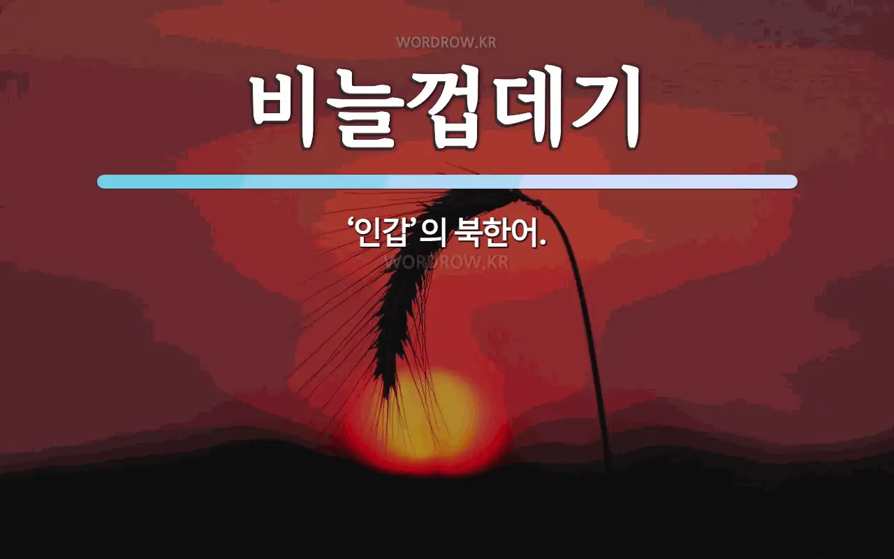 비늘껍데기 뜻