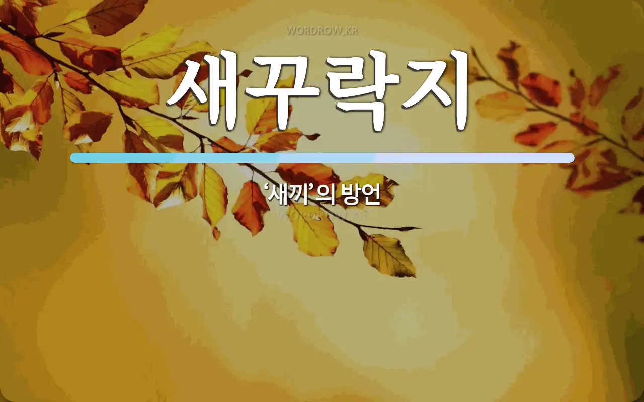 새꾸락지 뜻