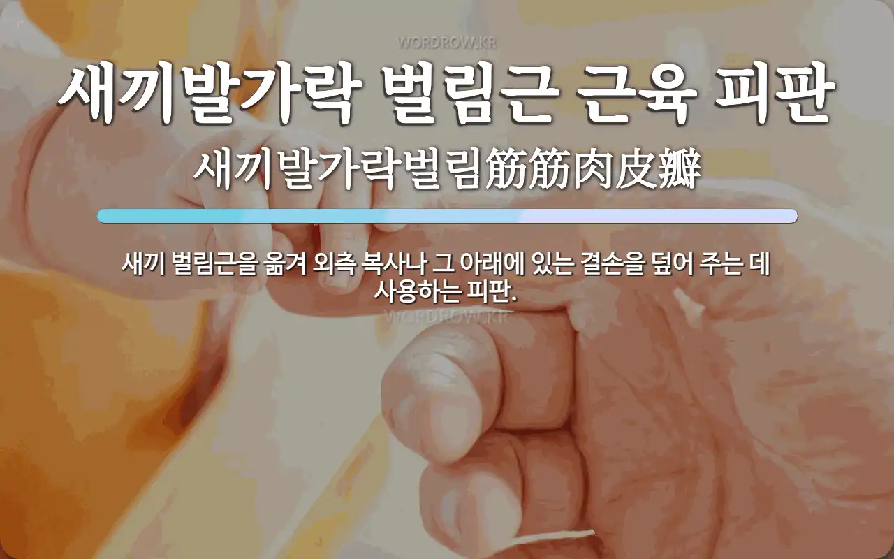 새끼발가락 벌림근 근육 피판 뜻