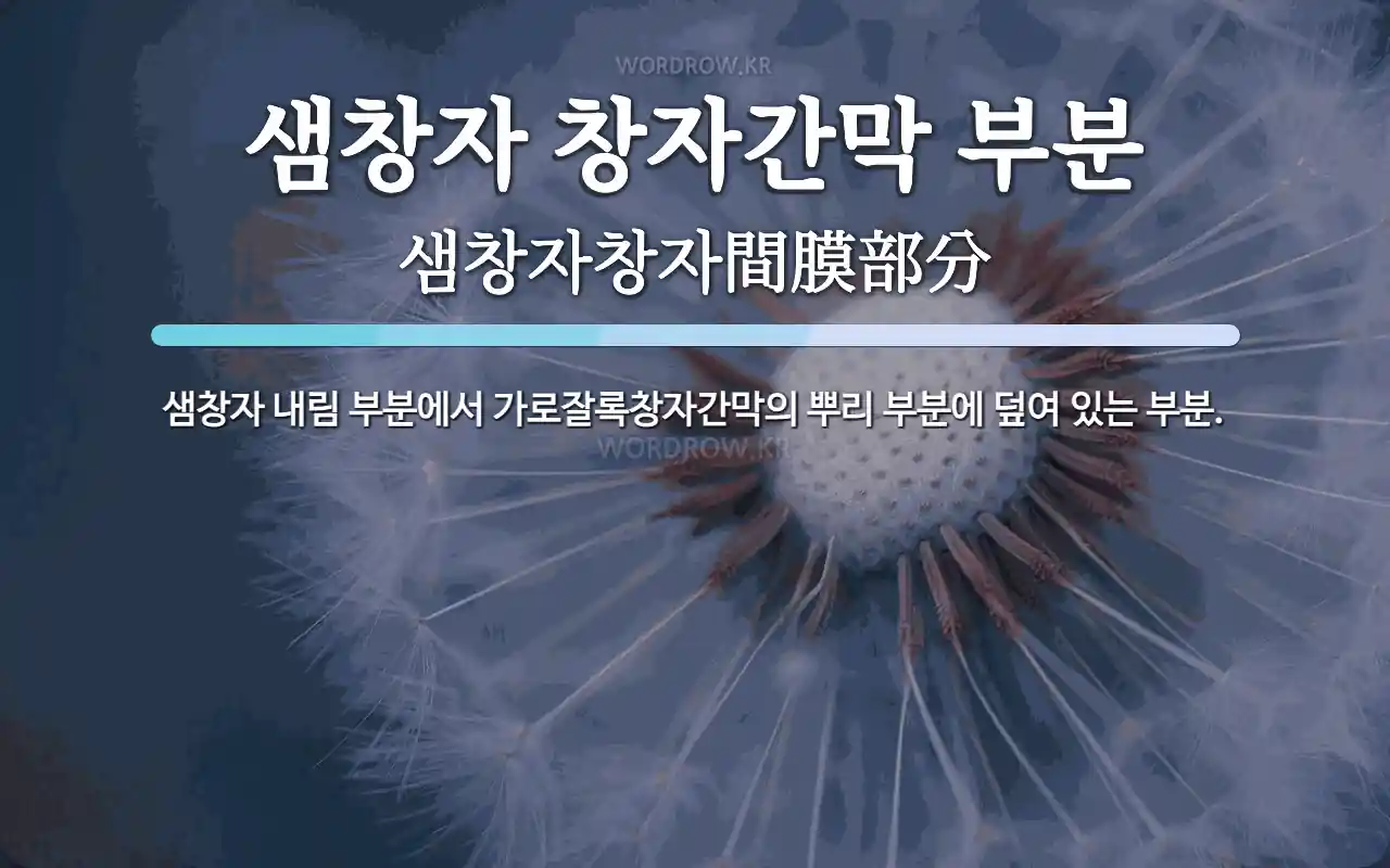 샘창자 창자간막 부분 뜻